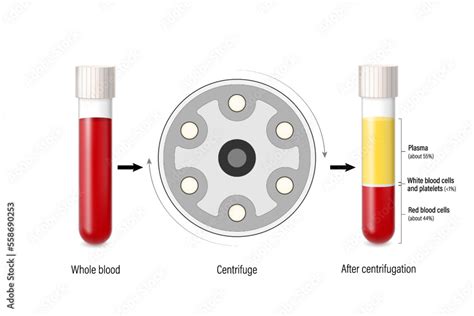 Stockvector Diagram showing blood put into the centrifuge and blood divided into 3 layers ...