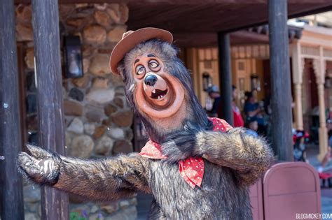 Country Bears Descend From On High to Greet Guests at Magic Kingdom