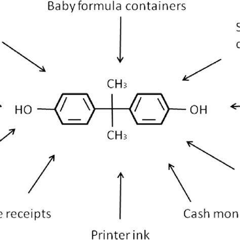 Sources of contamination with bisphenol A. | Download Scientific Diagram