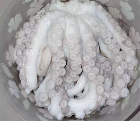 Can You Really Eat Octopus? Discover the Surprising Truth