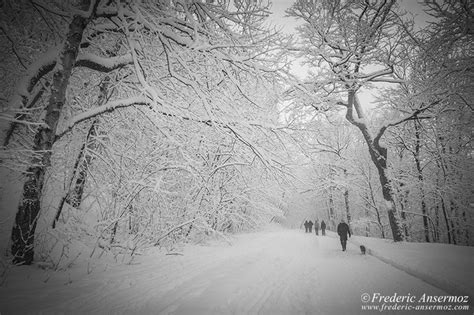 Montreal Winter,Canada | Ansermoz-Photography