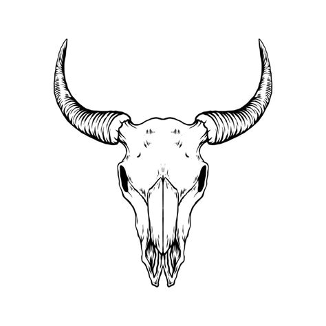 Bull skull vector art 13509178 Vector Art at Vecteezy