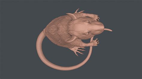 Rat sculpture 3D model 3D printable | CGTrader