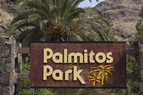 Palmitos Park, Gran Canaria | Vacation memories, Places, Places ive been