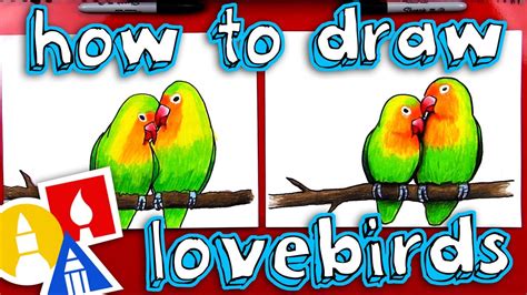 How To Draw Lovebirds - YouTube