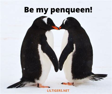 55 Best Penguin Quotes and Sayings - Lil Tigers