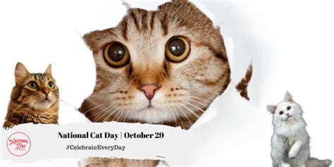 NATIONAL CAT DAY - October 29 - National Day Calendar