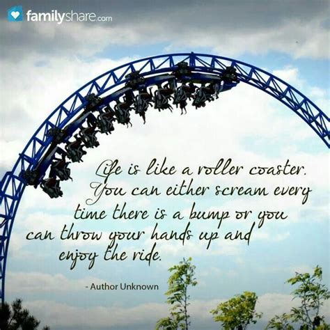 Life is like a roller coaster.... All Quotes, Cute Quotes, Great Quotes, Quotes To Live By ...