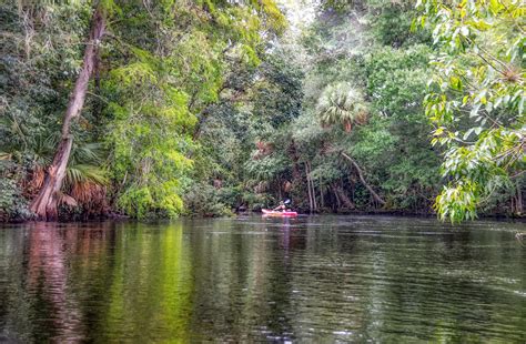 The Ocklawaha River | Florida Paddle Notes