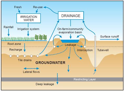 Evaporation basins for salinity management | Agriculture and Food