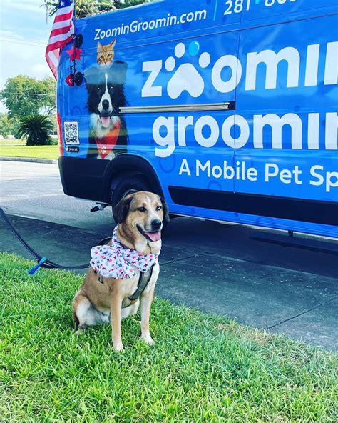 Pet Groomer Bay Area - Zoomin Groomin Texas Mobile Pet Spa