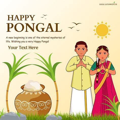 Happy Pongal 2024 Wishes in Tamil, Telugu & English: Send Pongal ...