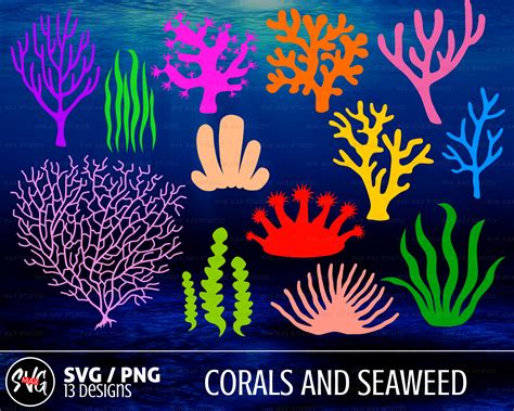 Coral Svg Bundle Seaweed Svg Seaweed Png Corals Svg Etsy | My XXX Hot Girl