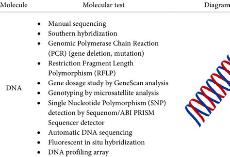 Techniques used in molecular diagnostics and molecular pathology. | Download Scientific Diagram