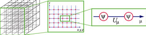 Gluon field U μ and quark ψ on the lattice. | Download Scientific Diagram