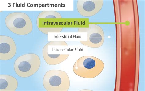 Why is Blood Volume Analysis Important? | Daxor