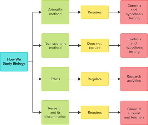 What Is A Concept Map In Biology - Printable Templates