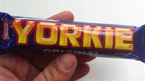 Yorkie original review - YouTube