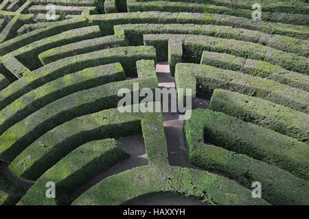 Aerial view of hedge maze Stock Photo, Royalty Free Image: 43367213 - Alamy