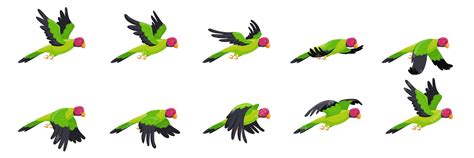 Premium Vector | Parrot animation Animated parrots flight flying bird loop sequence sprite list ...