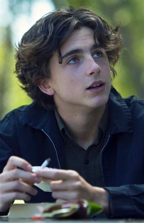 Timothée Chalamet foto Lady Bird / 3 de 7