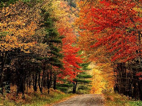 The Best Time To Travel To The Catskill Mountains | Lois Clark House ...