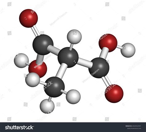 Methylmalonic Acid Molecule Increased Plasma Levels Stock Illustration 2024552591 | Shutterstock