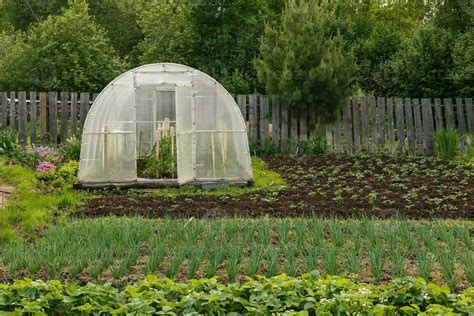 Greenhouse for growing vegetables in the vegetable garden 25403335 ...