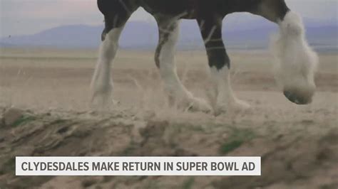 Budweiser Super Bowl commercial 2022 Clydesdales emotional return ...