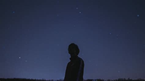 Silhouette of Tress · Free Stock Photo