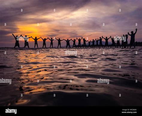 Group Of Women Silhouette Holding Hands High Resolution Stock ...