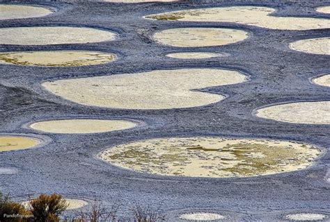 Healing Powers of Unusual Spotted Lake in Canada - Places To See In Your Lifetime