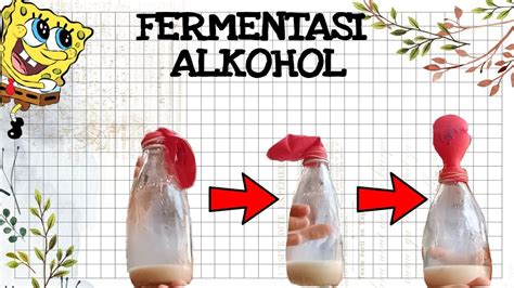 Laporan Praktikum Biologi Mekanisme Respirasi Anaerob " Fermentasi Alkohol" - YouTube