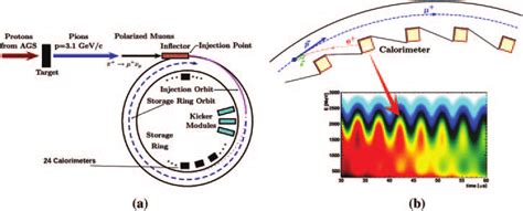 -(a) Schematic representation of the Muon g − 2 experiment and (b) when ...