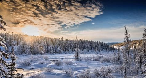 Your North: Best reader photos for the week of Jan. 24 | CBC News