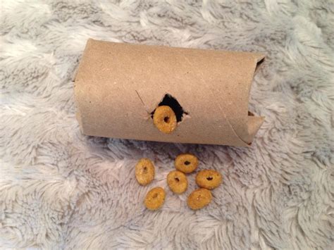 Homemade Puzzles - Food Puzzles for Cats