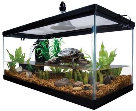 The Best Turtle Tank In 2021? A Newbie-Friendly Guide