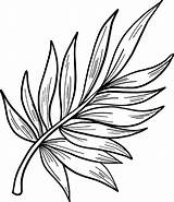 Palm Sunday Coloring Pages  Best For Kids sketch template