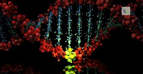 New De Novo Mutations Discovery May Lead to Better Treatment | Insights ...