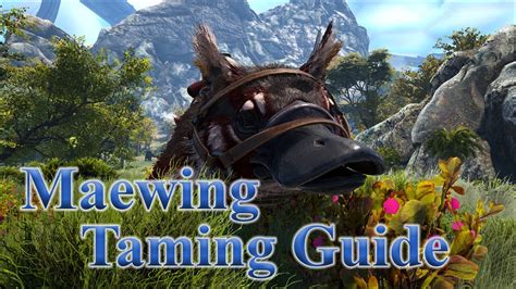 MAEWING TAMING GUIDE | How to Tame Maewing & Abilities | Maewing ...