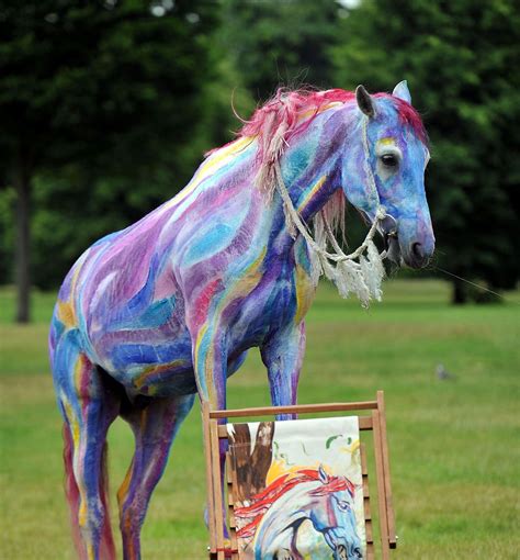 Decorate a Horse for a Parade or Costume Class