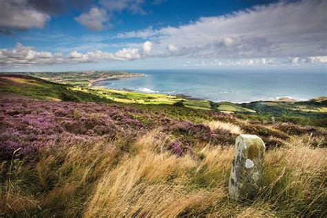 North York Moors: English National Parks Experience Collection