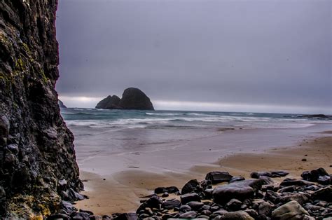 oregon coast beaches | Oregon Coastal Flowers