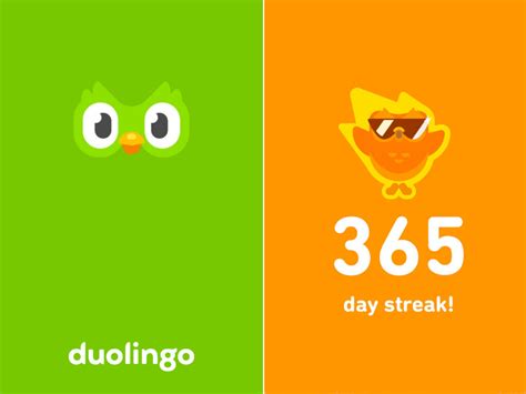 Featured App: Duolingo - Pathway Web Designs | Dutchess County NY