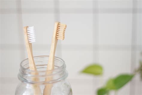 5 Environmentally Friendly Toothbrush Brands – GASAN