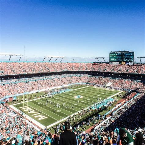 Sun Lite Stadium. | Miami dolphins, Dolphins, Baseball field