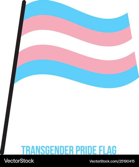 Transgender pride flag waving designed with Vector Image