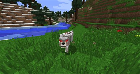 What is the rarest animal to tame in Minecraft? - Rankiing Wiki : Facts, Films, Séries, Animes ...