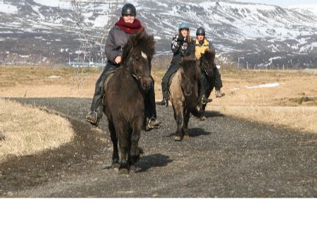 Horse Riding Holiday Iceland | Northern Lights | Equestrian Escapes