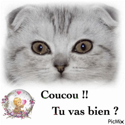 Coucou !! tu vas bien ? - Free animated GIF - PicMix